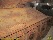 IMG-5926