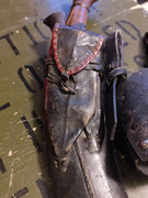 IMG_20250228_081006834