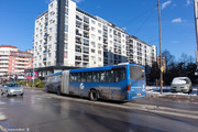 IMG-3068