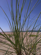 P-20210714-171927-p.jpg