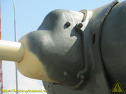 IMG-3484