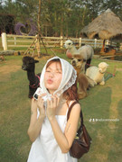 photo 5 2026 01 03 21 12 53