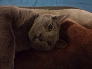 dd4d000a-287e-4620-8a5a-c9b630033f80