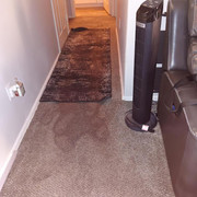 carpet cleaning contractor near me