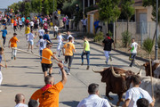 IMG-0501
