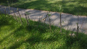 IMG-20250602-105130517