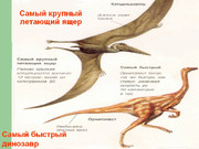https://i.postimg.cc/ZC1QNHZM/6229ad01f34d44a27933566d7bc7b078f0926323.jpg