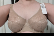 pic-1