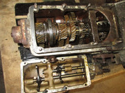 IMG-6268.jpg