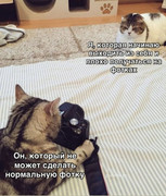 5bf94c09fb8c3a632b50d2e18c5733f0.jpg