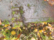 IMG-0041