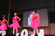 Apresentação de dança (Ballet) (101)