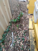 photo_2021-07-28_08-31-40