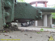 IMG-9618