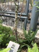 photo-iherbalgarden-3rd-032