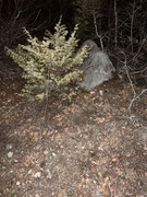 IMG_20250304_195316_296