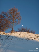 photo 2 2025 12 14 22 09 36