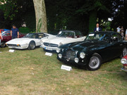 DSCN7311.jpg