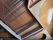 49b992b2-5677-11ef-912c-993093f2aab4