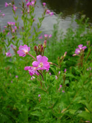 photo 44 2025 12 27 21 08 38