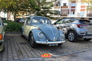 IMG-3487