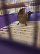 photo_2022-10-10_23-08-58