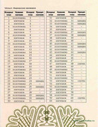 Stilnye-shtuchki-iz-kruzheva-2006-129