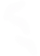 TADD-elements-Last-Dance-In-Paris-101