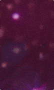 photo-3127.gif
