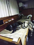 IMG-20221207-010054842.jpg