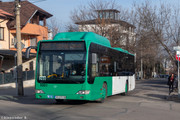 IMG-5132