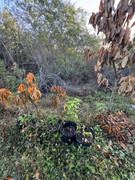 IMG-1762