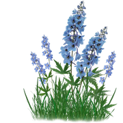 ISmell-Autumn-LL-Element59