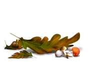 TADD_elements_Shimmer_Fall_31