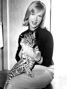 anne-francis-d26