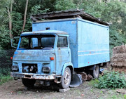 Obrázek