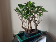 IMG-20200331-154147