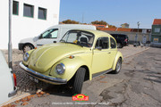 IMG-3874