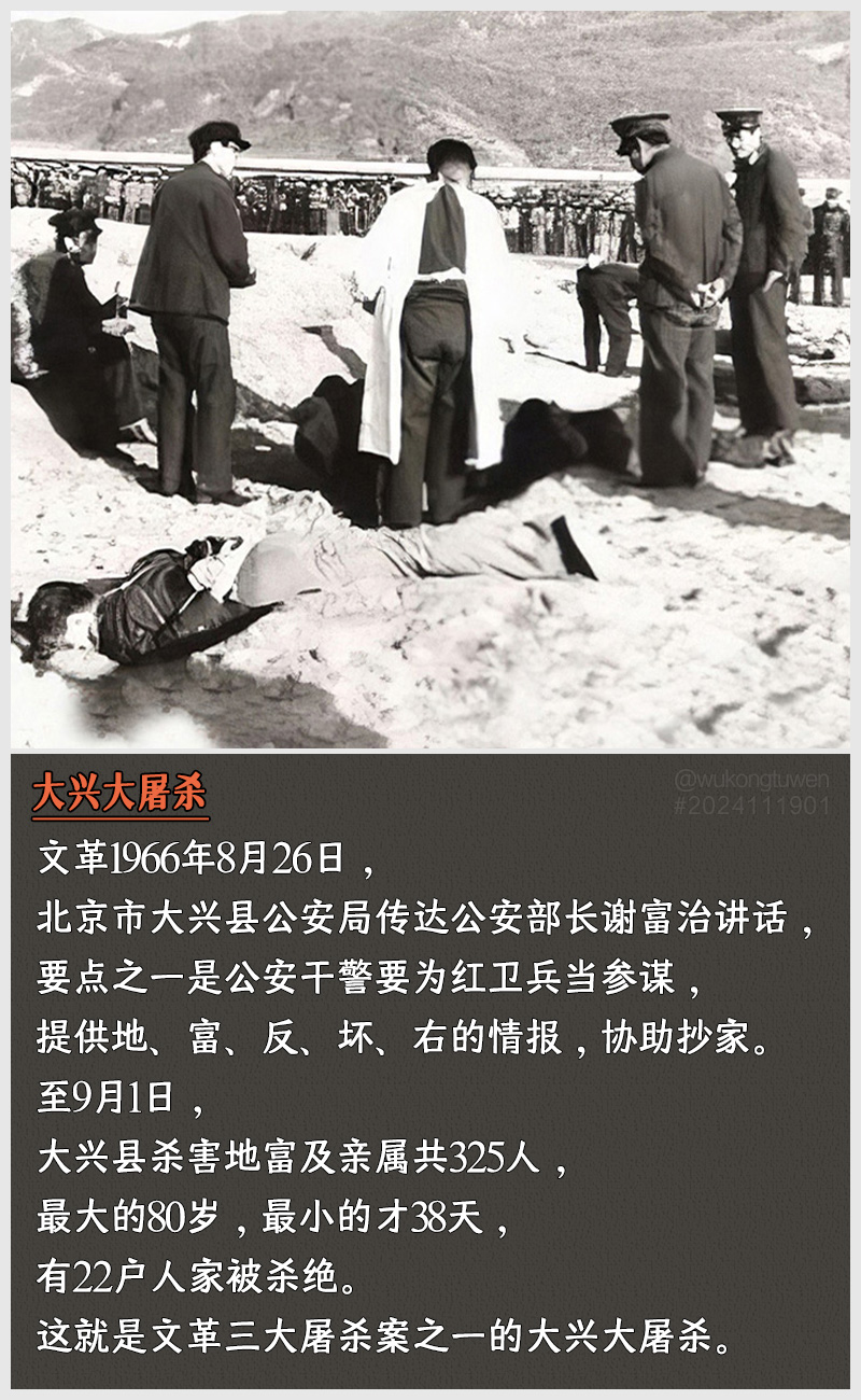 https://i.postimg.cc/ZJ0zsHCF/2024111901.jpg