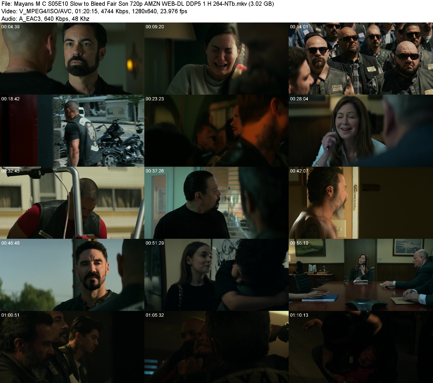 [Image: tj0dtqdd228x.jpg]