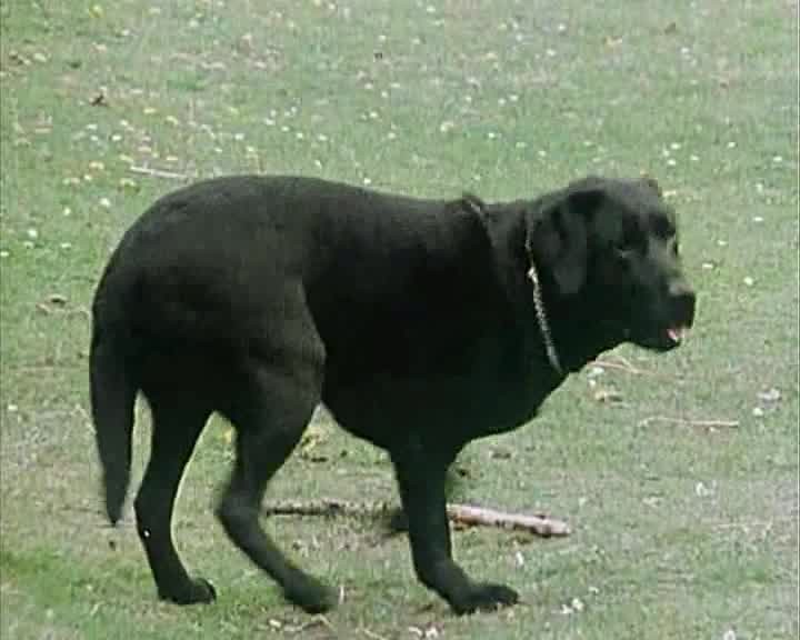 [Image: 9ezigocq28l1.jpg]