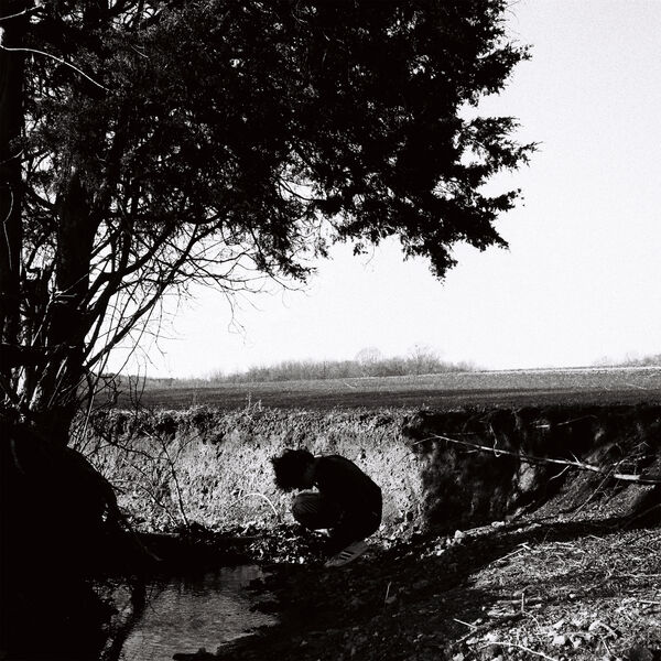 [Image: bq5mj8bye67c.jpg]