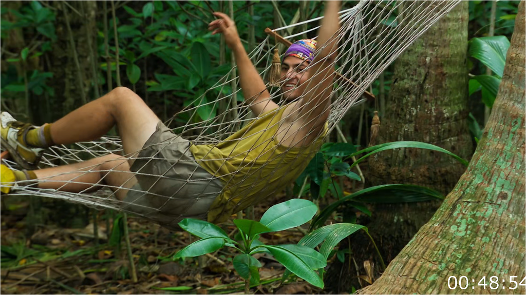 [Image: xnwls1cf6l95.png]