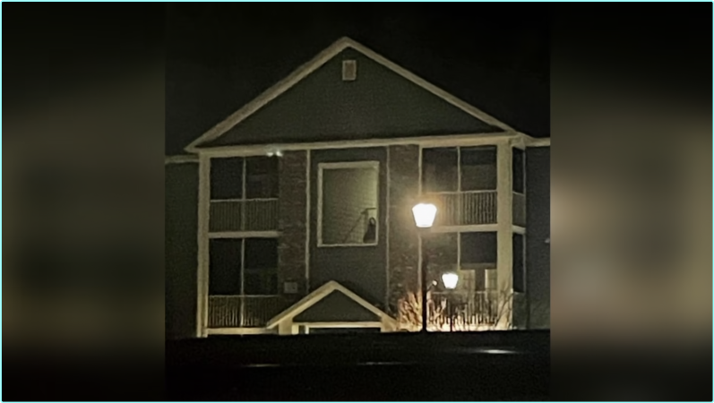 [Image: sez1n1v26cwj.png]