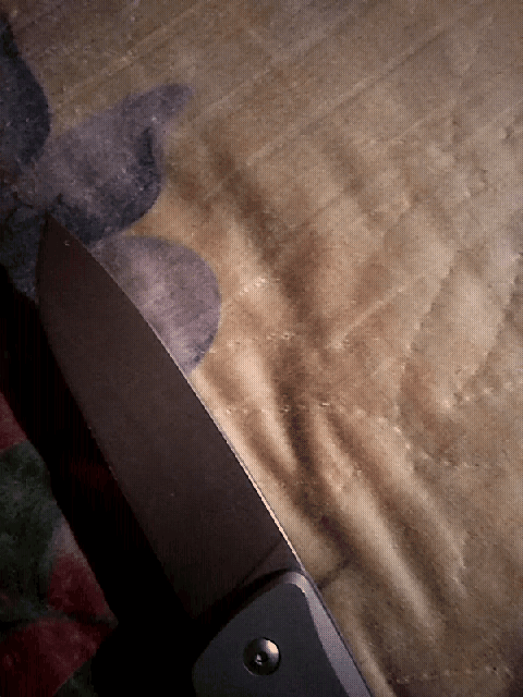 GIF-20211003-231745.gif