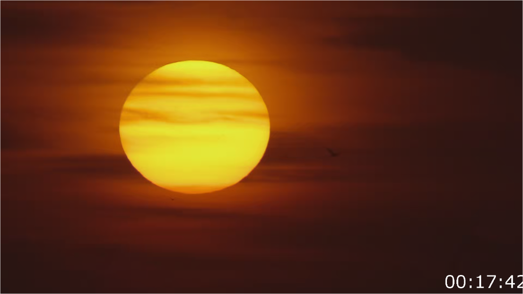 [Image: 7jmp9o6zb4hq.png]