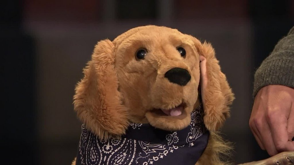 [Image: xk9uof26k9ib.jpg]