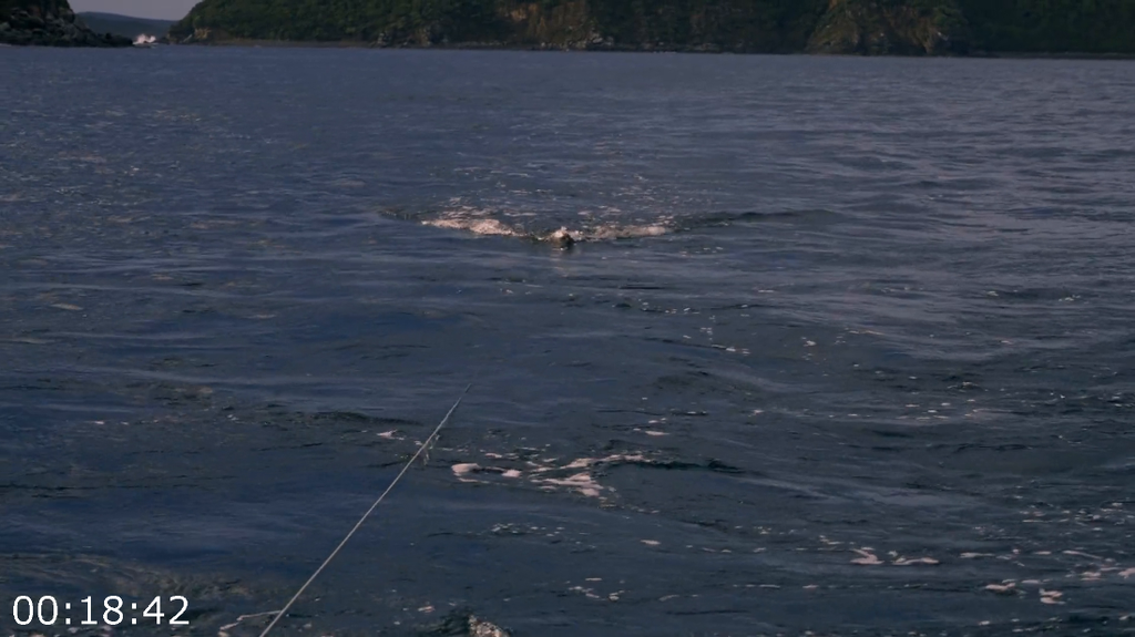 [Image: f5h2dwow80en.png]