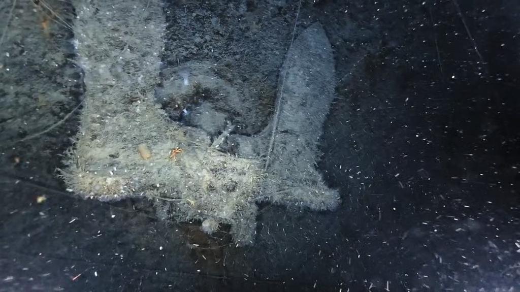 [Image: be5ke1ykh2h7.png]