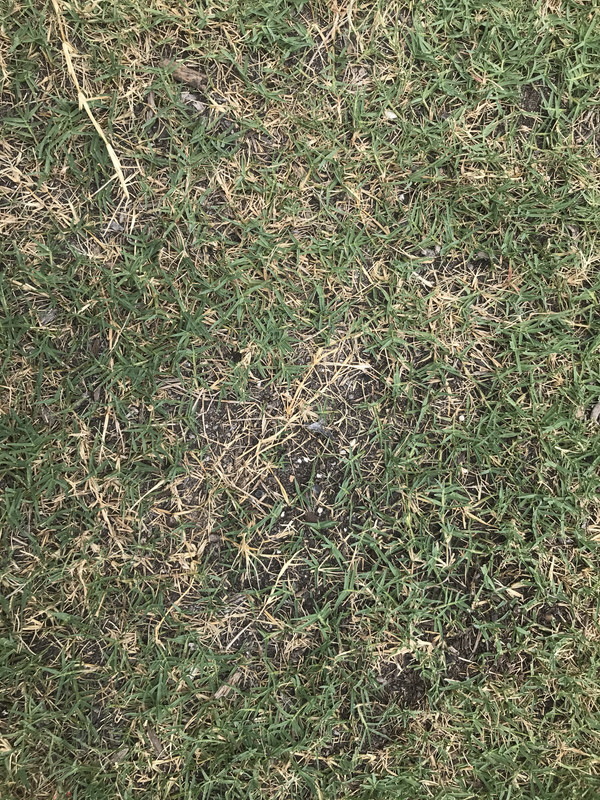 97397EB8-C8AC-4598-9570-E358B7BA335F